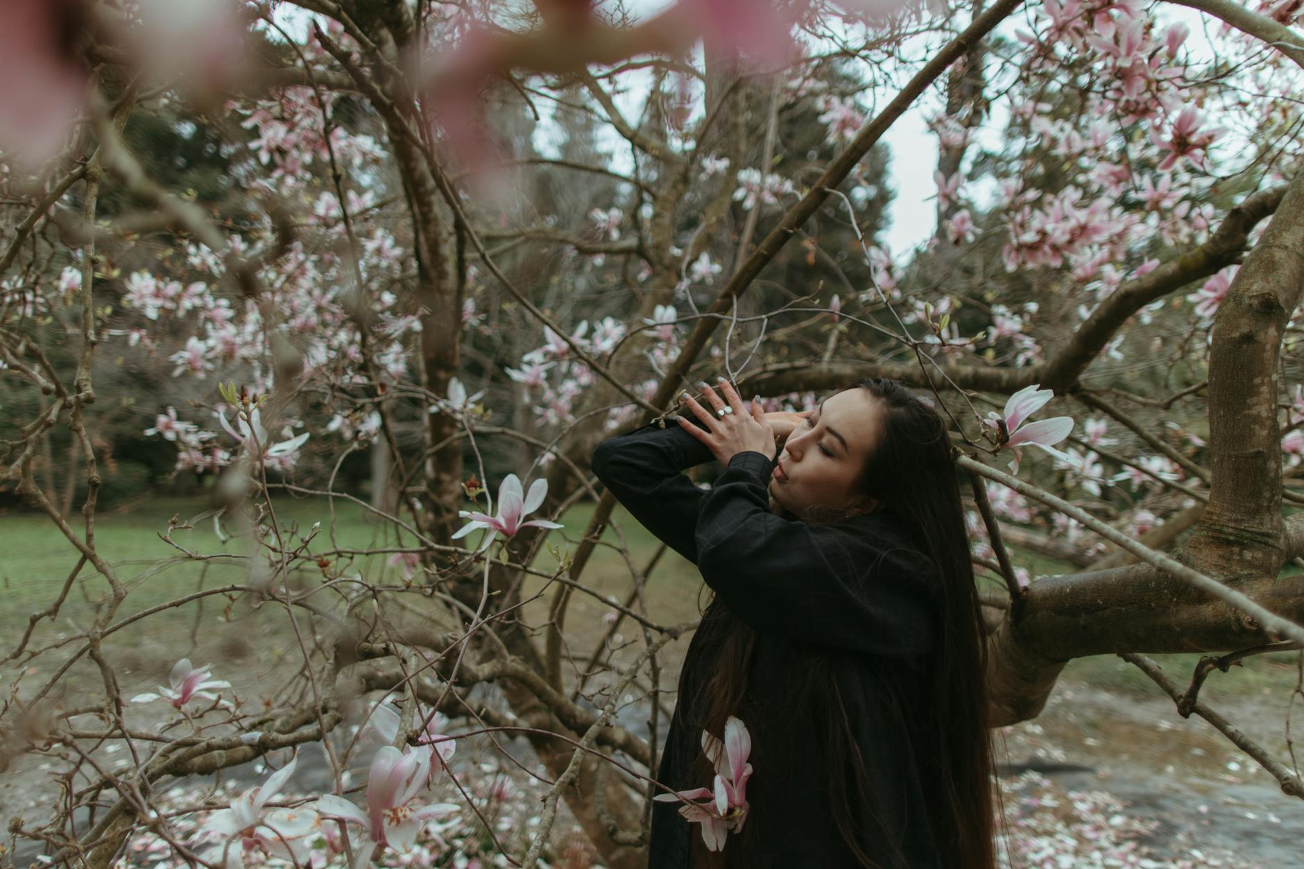 Healing Power of Forest Bathing